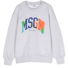 Толстовка с логотипом Толстовка с логотипом