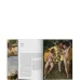Raphael - The Complete Works, Paintings, Frescoes, Tapestries, Architecture book