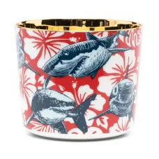 Бокал для шампанского Beautiful Creatures Бокал для шампанского Beautiful Creatures