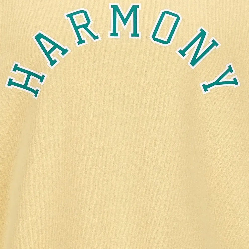 Толстовка Sael Varsity Толстовка Sael Varsity