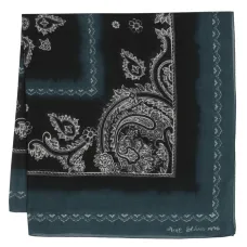 Шерстяной шарф с принтом пейсли