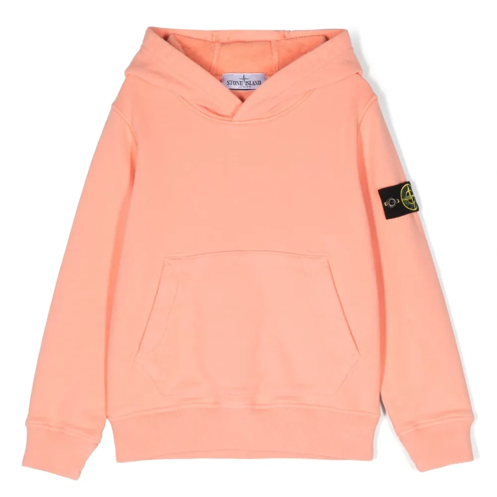 Худи с логотипом Compass