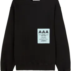 Толстовка с нашивкой Pass