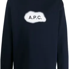 Толстовка с логотипом