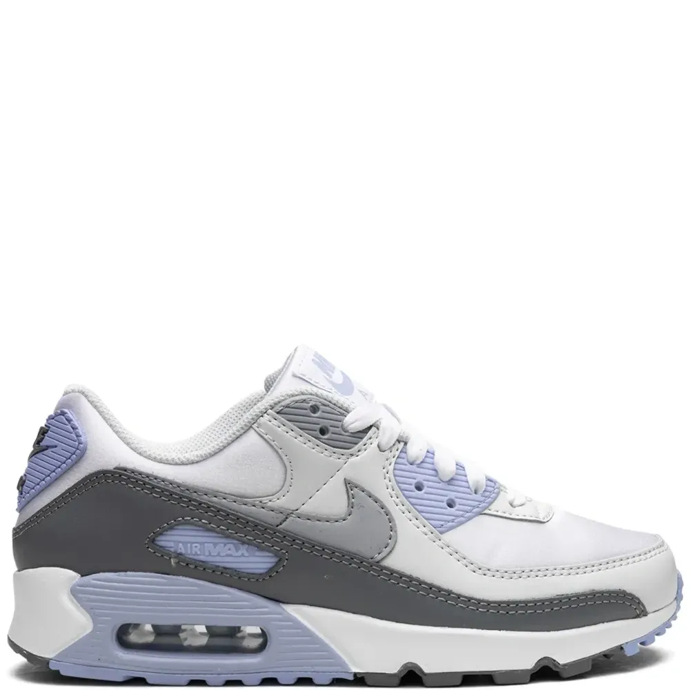 Кроссовки Air Max 90 'Cobalt Bliss'