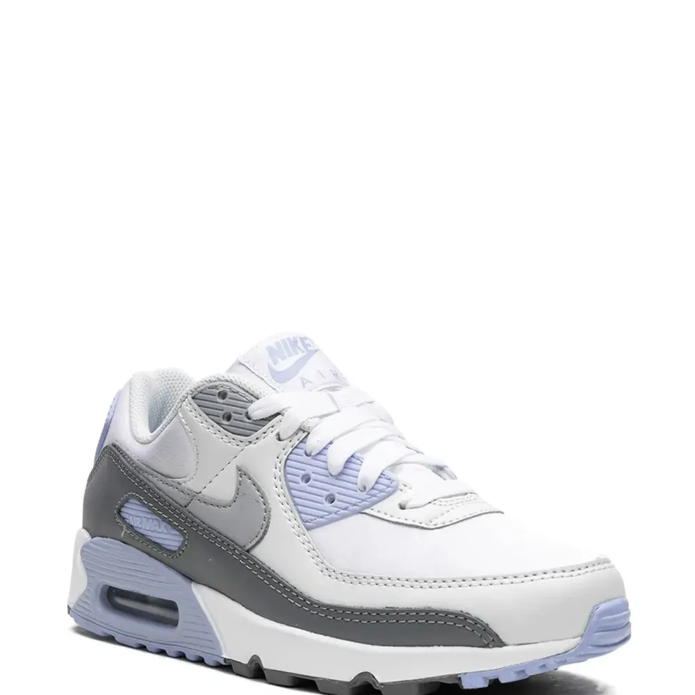 Кроссовки Air Max 90 'Cobalt Bliss'