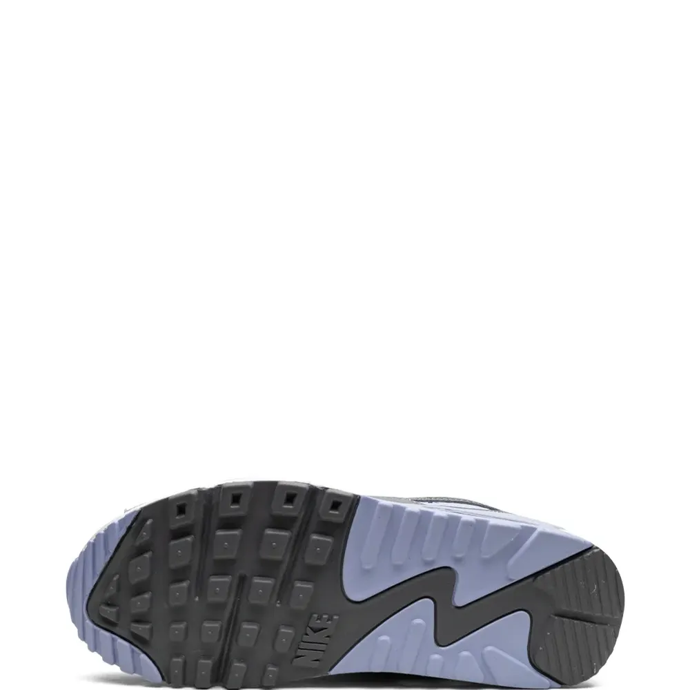 Кроссовки Air Max 90 'Cobalt Bliss'