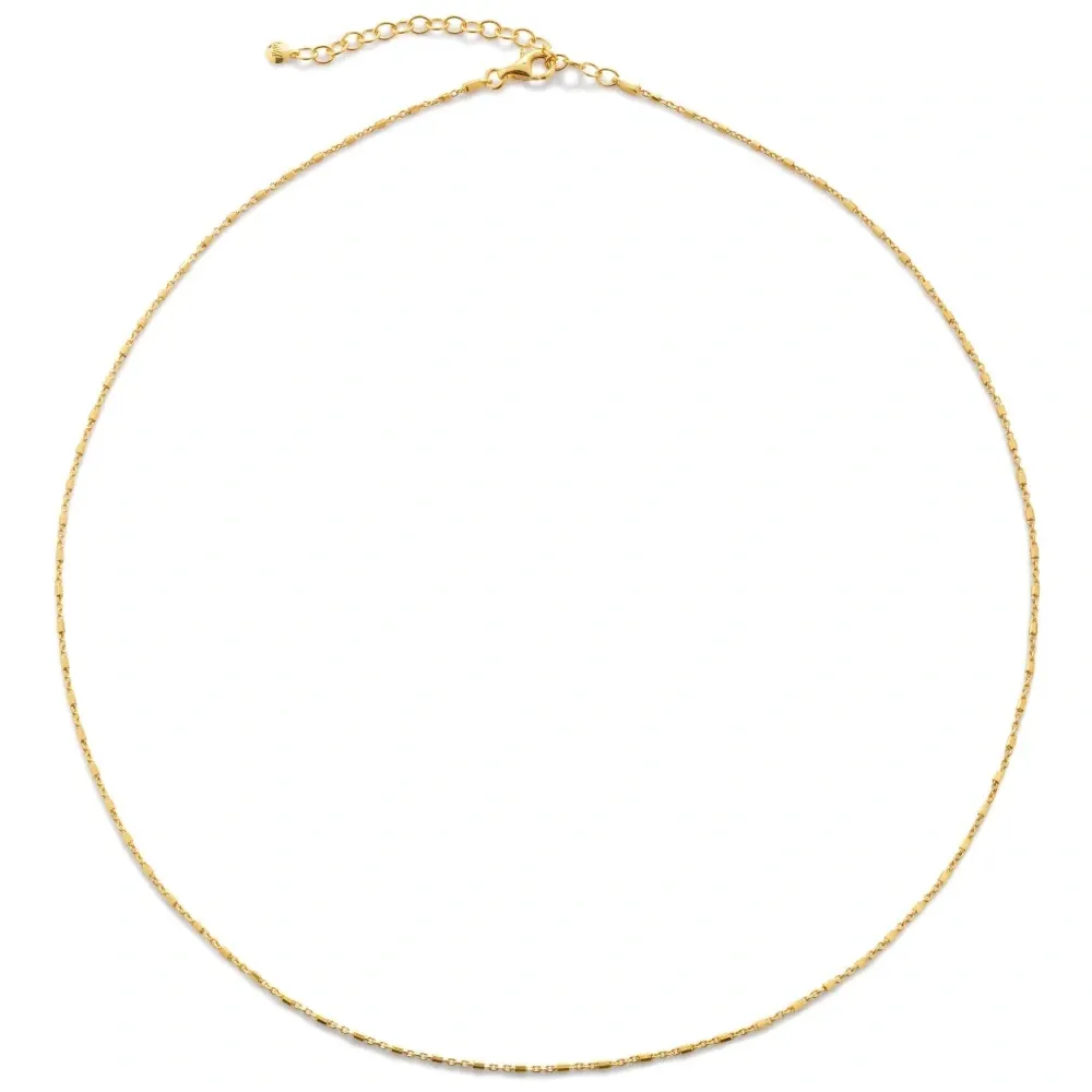 Цепочка на шею Statin