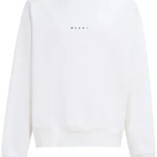 Толстовка с логотипом