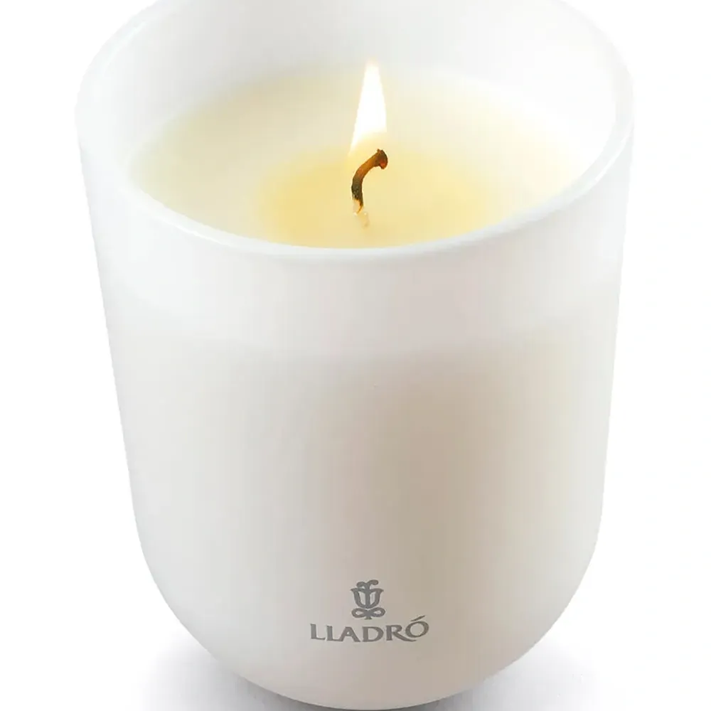 ароматическая свеча Mediterranean Beach (635 г)