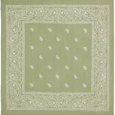 Платок с принтом пейсли