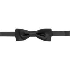 Атласный галстук-бабочка Атласный галстук-бабочка