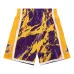 Шорты NBA LA Lakers 2009 Team Marble Swingman