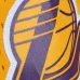 Шорты NBA LA Lakers 2009 Team Marble Swingman