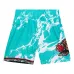 Шорты NBA Vancouver Grizzlies 1996 Team Marble Swingman