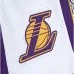 Шорты LA Lakers 2009 Doodle Swingman