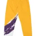 Спортивные брюки NBA LA Lakers Paintbrush