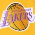 Спортивные брюки NBA LA Lakers Paintbrush