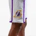 Шорты NBA LA Lakers 2009