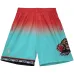 Шорты Vancouver Grizzlies 1996 Fadeaway