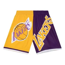 шорты LA Lakers Big Face 5.0 из коллаборации с NBA
