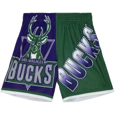 Шорты NBA Milwaukee Bucks Big Face 5.0 Шорты NBA Milwaukee Bucks Big Face 5.0