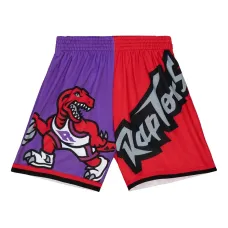 Шорты Big Face 5.0 из коллаборации с Toronto Raptors