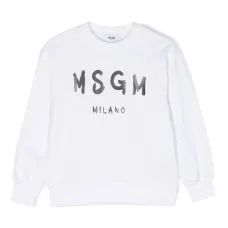 Толстовка с логотипом Толстовка с логотипом