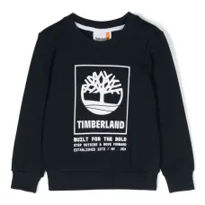 Толстовка с логотипом Толстовка с логотипом