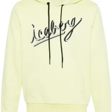 Худи с логотипом Худи с логотипом