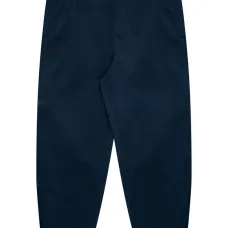 Брюки карго с логотипом