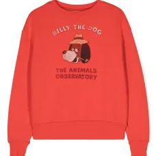 Толстовка Bear