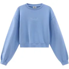 Толстовка с вышитым логотипом