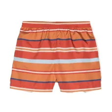 Полосатые плавки-шорты с вышивкой Pegaso