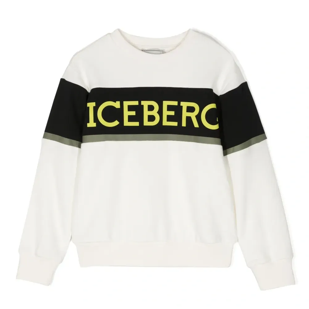 Толстовка с логотипом