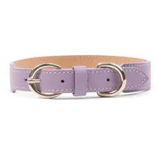 Ошейник для собаки с пряжками