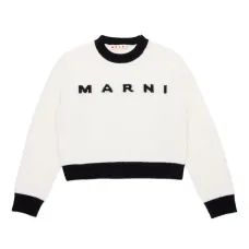 Джемпер вязки интарсия с логотипом