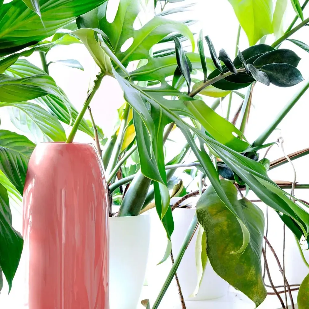 Керамическая ваза Carla среднего размера (28 x 12 см) Керамическая ваза Carla среднего размера (28 x 12 см)