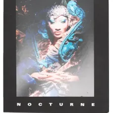 Nocturne (27cmx22xm)