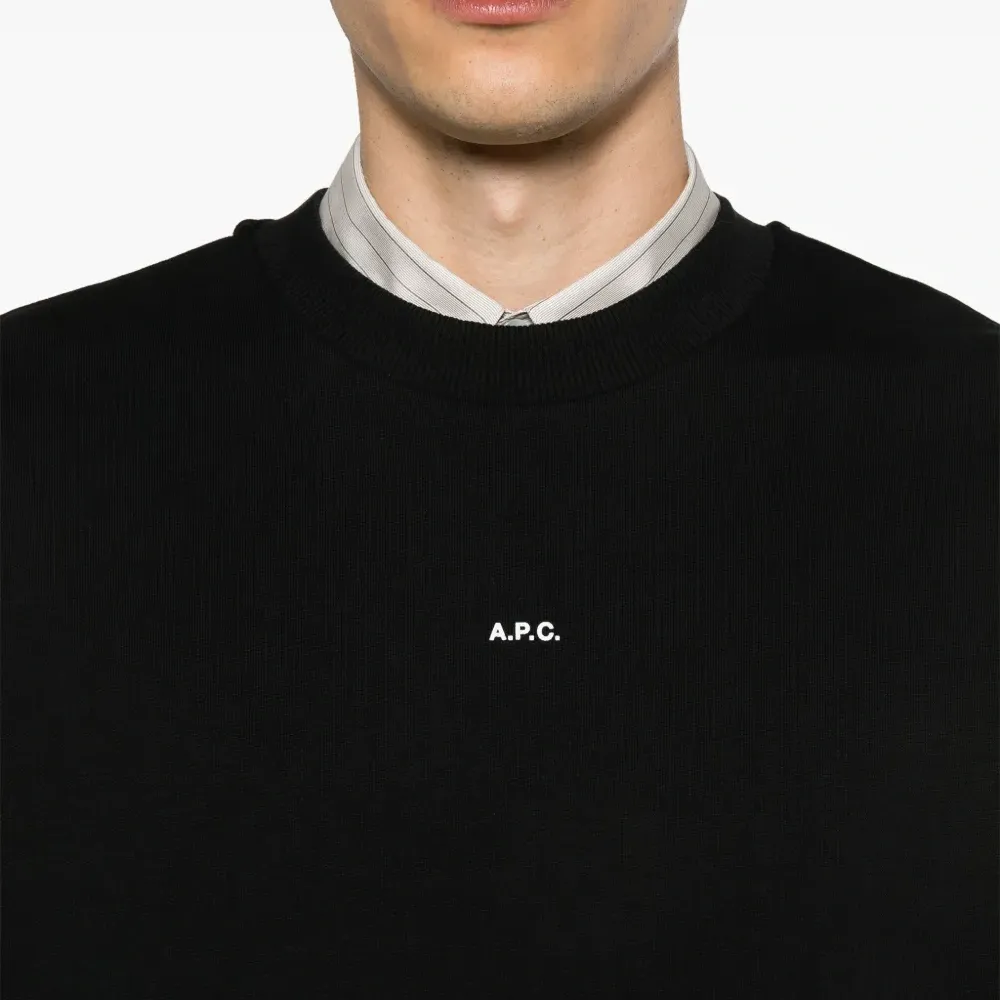 толстовка с логотипом