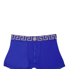 Боксеры с узором Greca