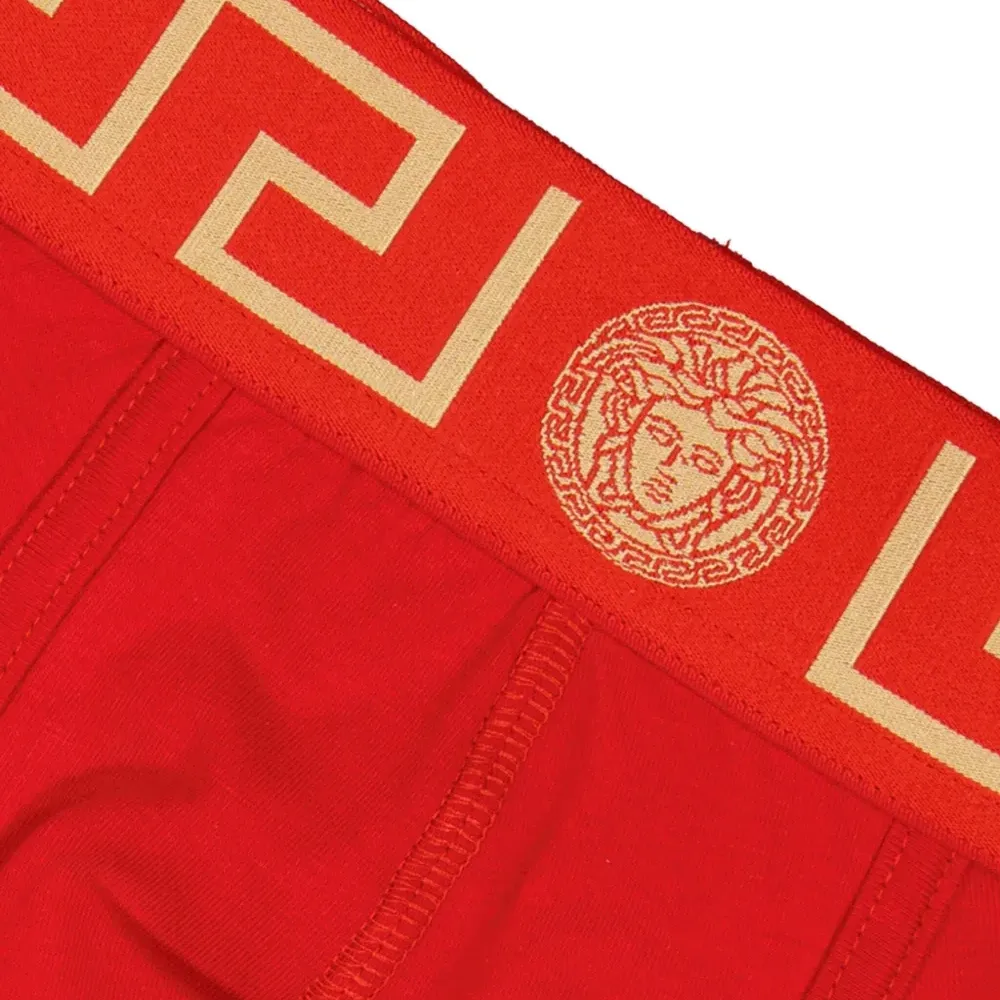 Боксеры с узором Greca