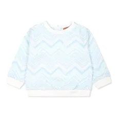 Толстовка с принтом шеврон