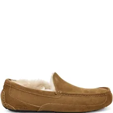 Слиперы Ascot