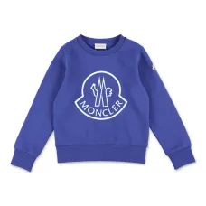 Толстовка с логотипом