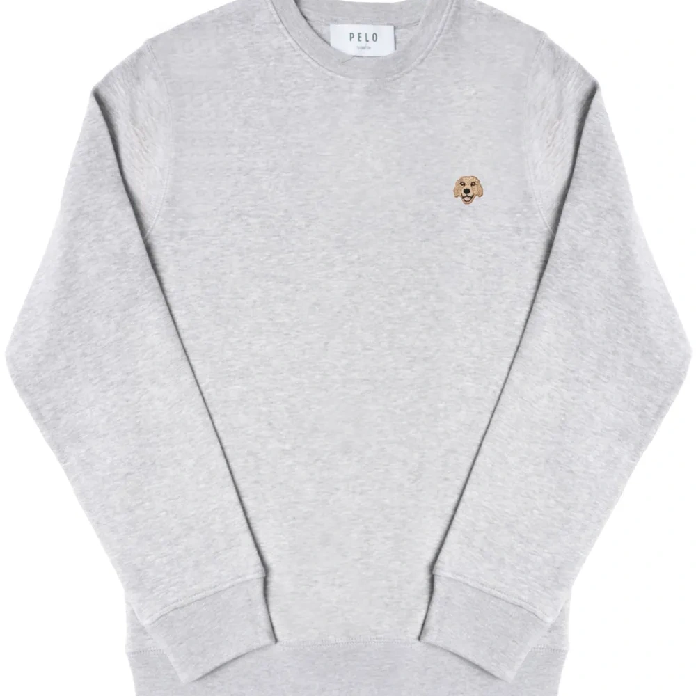 Толстовка Labrador