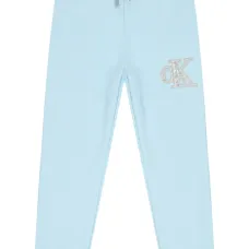 Спортивные брюки с логотипом