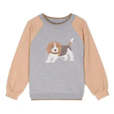 Толстовка с вышивкой