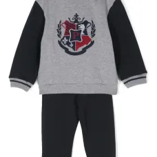 Спортивный костюм с вышитым логотипом Спортивный костюм с вышитым логотипом