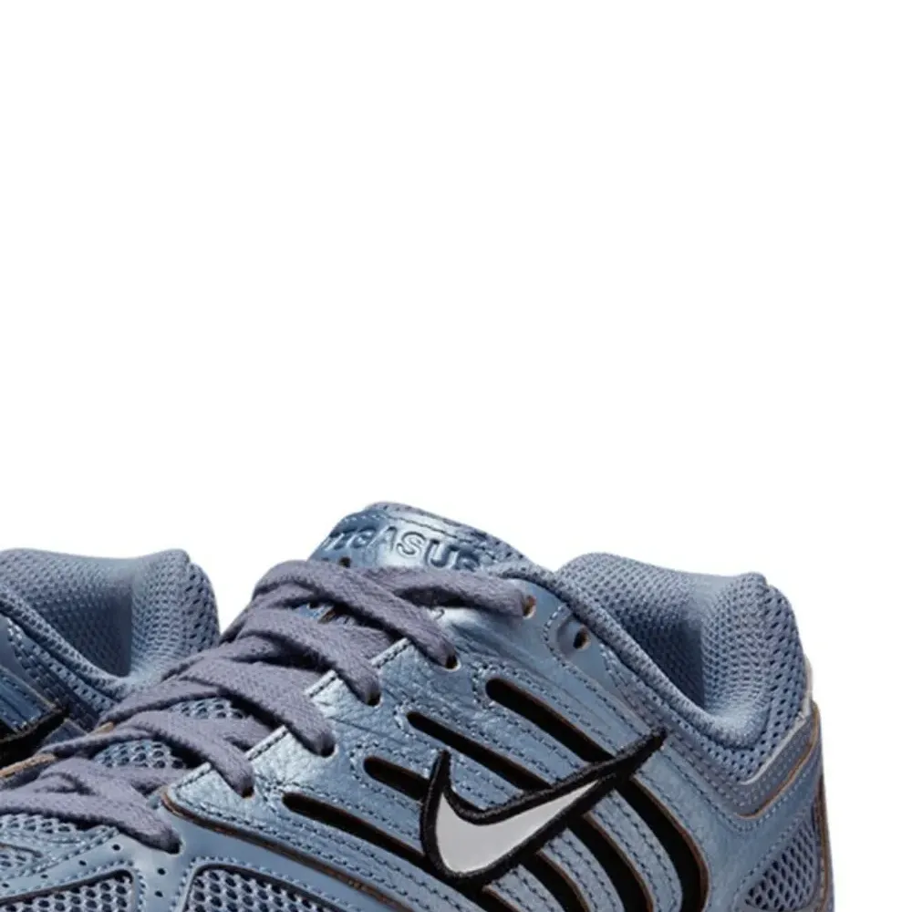 Кроссовки Air Pegasus 2005